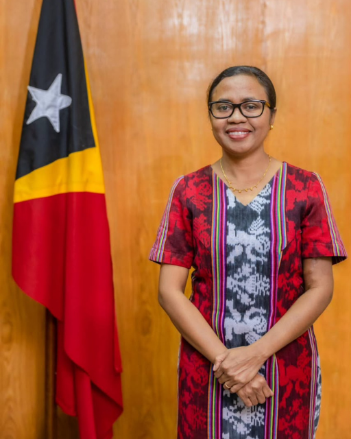 H.E. Elvina Sousa Carvalho